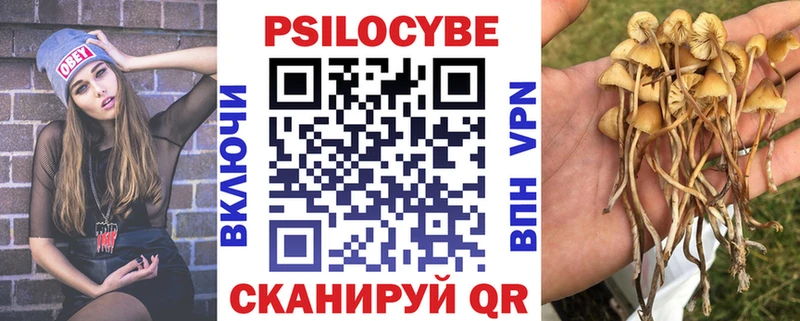 где купить наркоту  MEGA как войти  Псилоцибиновые грибы Psilocybe  Поронайск 